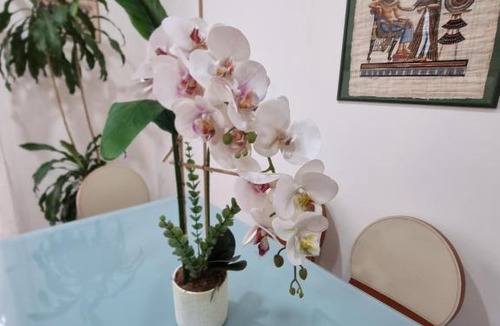 Chiaia Apartment | Mergellina 199