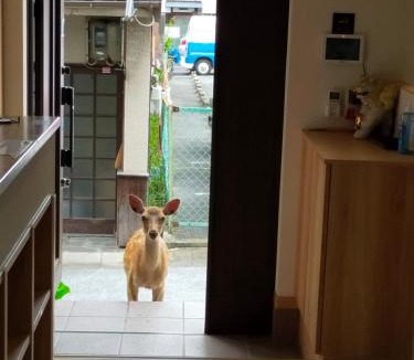 Nara House | Mini inn Nara - Nara historic district 外国人予約限定