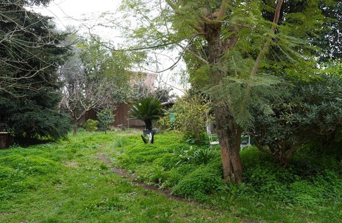 Monte dell'Ara-Valle Santa Apartment | “Mirella & Patrick B&B — Your Roman Home Away from Home”