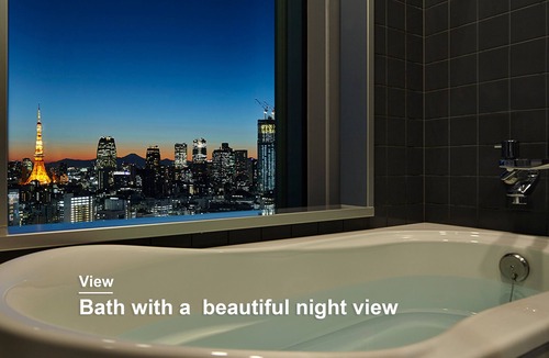 Ginza Hotel | Mitsui Garden Hotel Ginza Premier