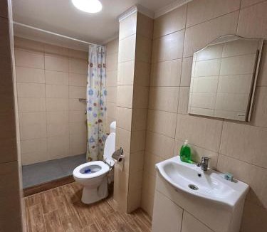 Ocna Sibiului House | Moșia lu' Mișu