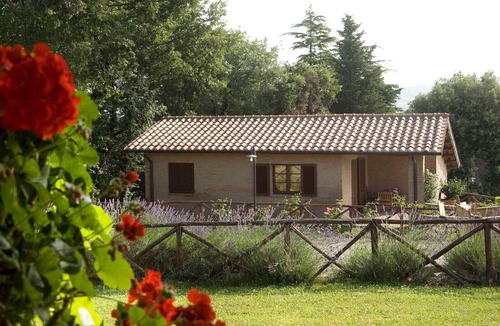 Montefiascone Apartment | Montedoro - Casa Oliveto