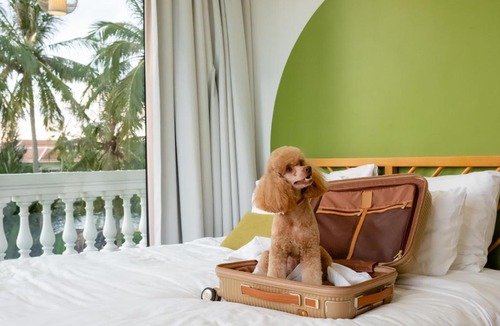 Cam Thanh Hotel | Moodhoian Riverside Resort & Spa