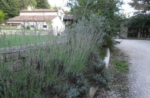 Casalciprano House | Must try but beware it can be addictive