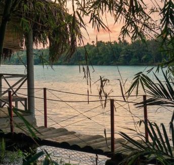 Giong Trom House | Nông Trại Thảnh Thơi