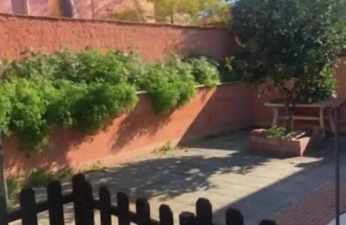 Zona XXXIV Casal Palocco Bed & Breakfast | Near the Ancient Ostia Port & the Rome Beach