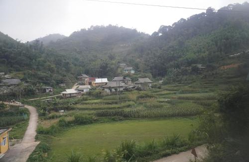 Thuy Khue House | Nhà của Bắp