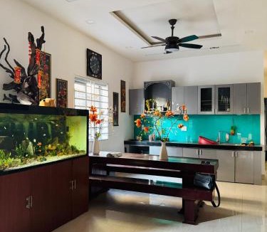 An Hai Đong Apartment | Nhà Nguyên Căn Gần Cầu Rồng Full Nội Thất Phạm Quang Ảnh