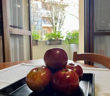 Noale Apartment | NOALE HOUSE