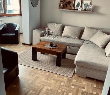 Reghin Apartment | Nomad Reghin