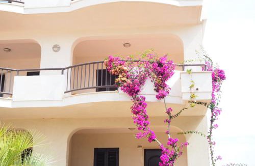 Scialara Hotel | Oasiclub Hotel