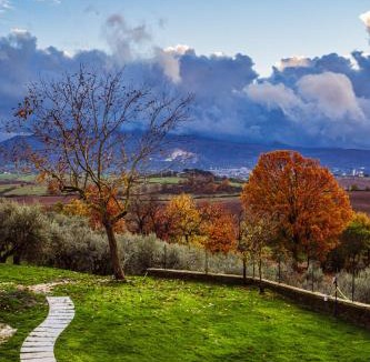 Paliano Bed & Breakfast | Olio su Tela