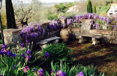 Campagnano di Roma Villa | Olivella