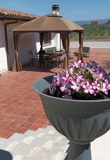 Borghesiana Apartment | Oliveto Relax Alloggio Turistico