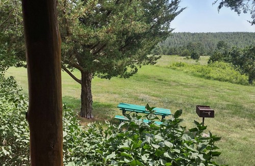Rosebud Cabin | One of two rustic cabins nestled in Rosebud Sicangu Lakota Oyate pine forest.