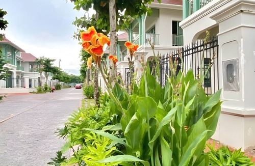 An Thoi Villa | P817 Elite Tropical Residence