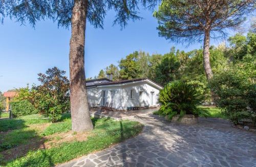 Frascati Villa | Panoramic Villa among the Vineyards of Frascati
