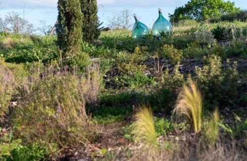 Castell'Azzara Bed & Breakfast | PaterMater b&b - Tuscany Retreat