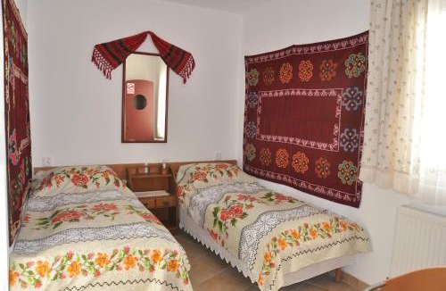 Albesti House | Pensiune Muzeu Traditional Poveste in Transilvania