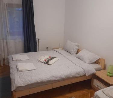 Orastioara de Sus House | Pensiunea Costesti