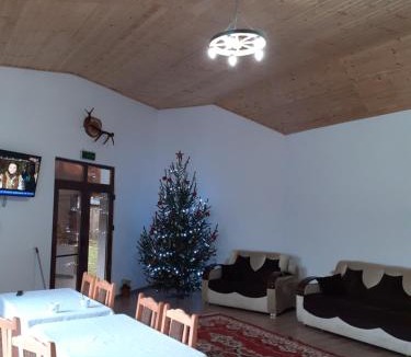 Malaiesti House | Pensiunea Narcisa cu Ciubar