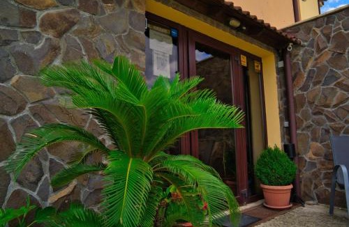 Baile Unu Mai House | Pensiunea Neredy