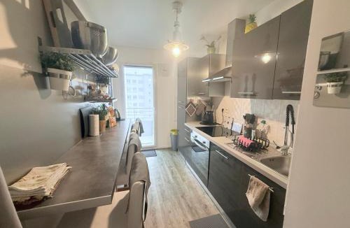 Coudray Apartment | Petit Erdre - 2 chambres- gd appt ensoleillé- accès PMR