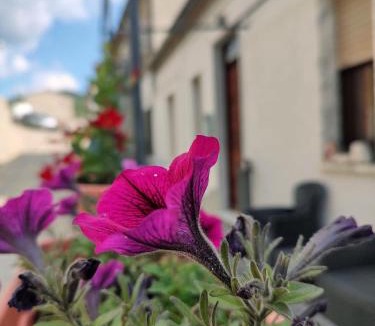 Pietrapertosa Bed & Breakfast | Pietrapantone B&B