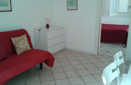 Forio House | Pitosforo - Ulivo - Cocco