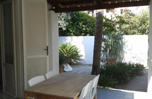 Forio House | Pitosforo - Ulivo - Cocco
