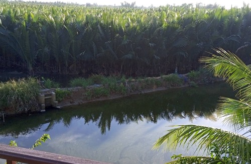 Cam Thanh Villa | Private Deluxe King Room in Hoi An