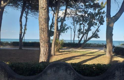 Pineto Bed & Breakfast | Quadruple room for a totally relaxing holiday 20 meters from the sea