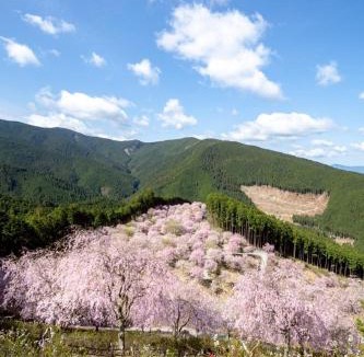 Higashiyoshino Apartment | Rebe東吉野