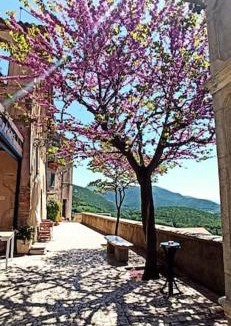 Casperia House | Relax nell' Antico Borgo