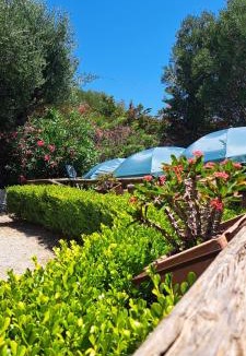 Lentiscosa Apartment | Residence San Antonio