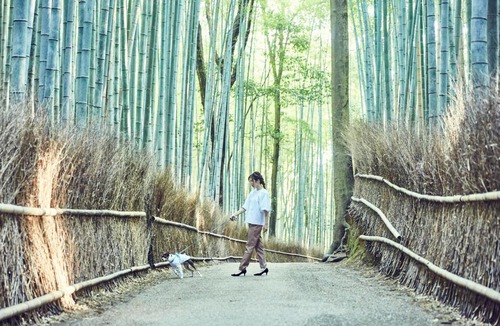 Arashiyama Hotel | Riverside Arashiyama