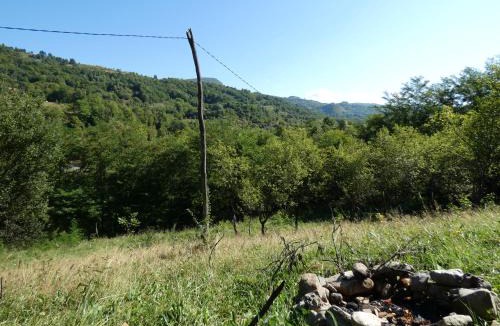Buces Other | Romantic yurt in Apuseni mountains