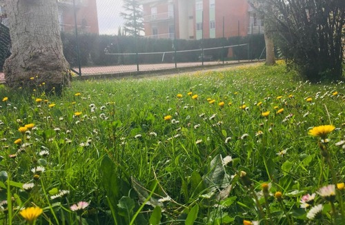 Cassia Apartment | Rome Guest Hospitality