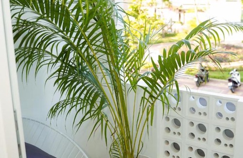 Phan Rang - Thap Cham Hotel | Royal Hotel Ninh Thuận