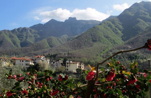 Piazza-Tralia-Pendolo House | Rustic apartment on the ground floor with citrus garden