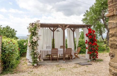 San Pietro a Cegliolo House | San Martino agli Ulivi