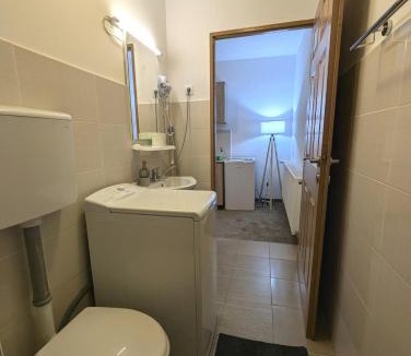 Tirgu Mures Apartment | Sandor Central Studio Apartment