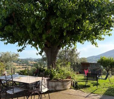 Caiazzo Bed & Breakfast | Sentiero Degli Ulivi Mascia