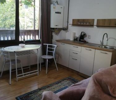 Poiana Brasov Apartment | Sofia Caffee Apart