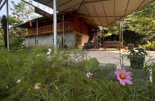 Vi Xuyen House | Song Ban Mountain Homestay