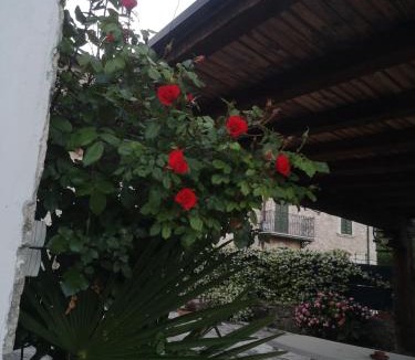 Colle San Marco Bed & Breakfast | Sor Mimi