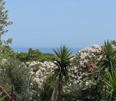 Termoli Bed & Breakfast | Soulmondo - BnB Dalì