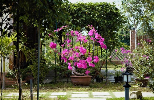 Ong Lang House | Spring Garden Homestay
