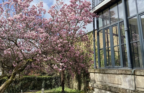 Limoges Apartment | Studio Confort - La Villa Beaupeyrat