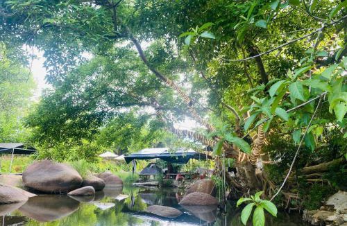 Ninh Hoa Other | Suối Mơ Dốc Tình Glamping & Retreat